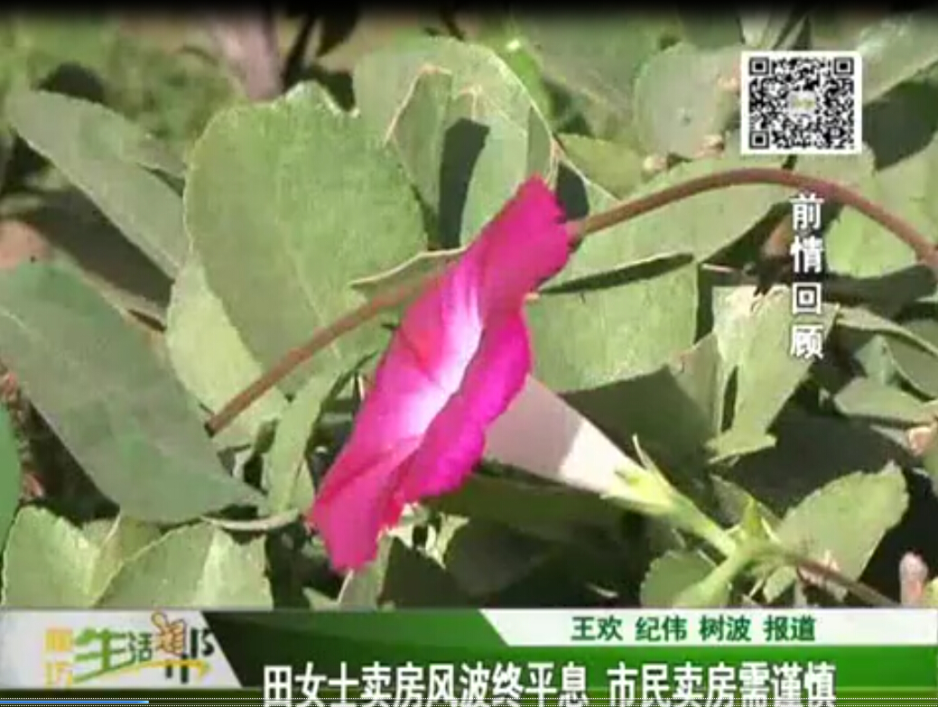 田女士賣(mài)房風(fēng)波終平息 市民賣(mài)房需謹(jǐn)慎