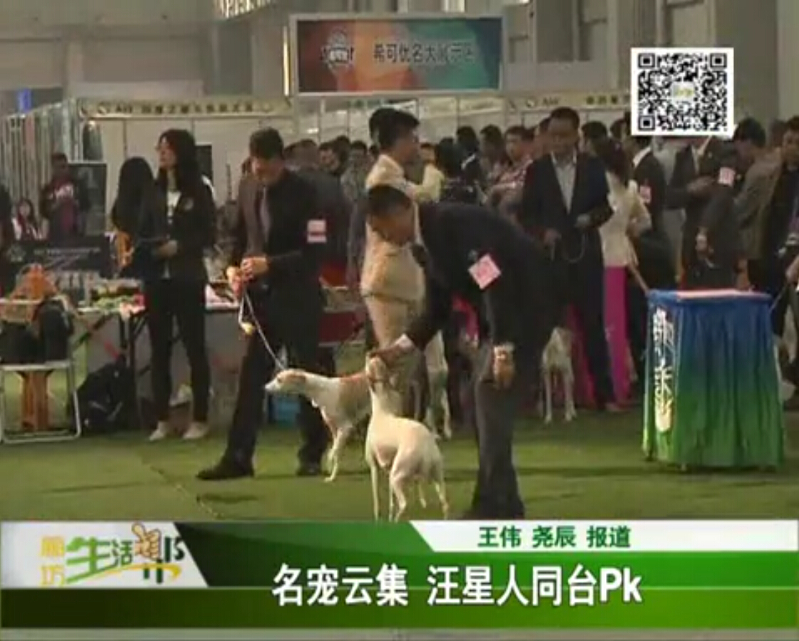 名寵云集 汪星人同臺(tái)pk