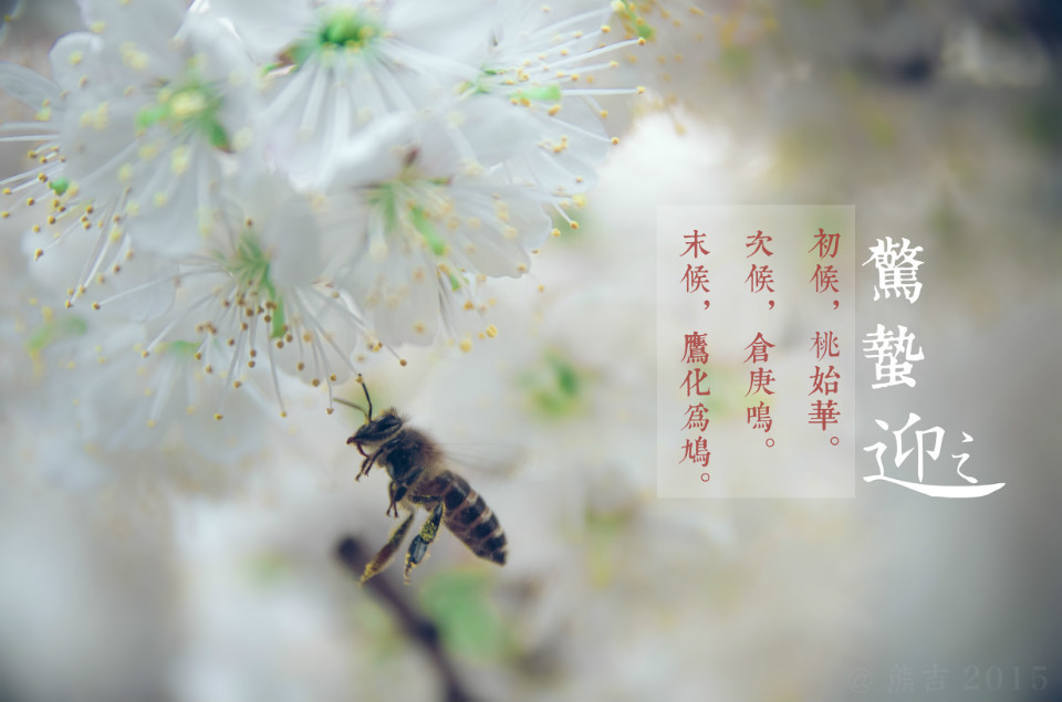 驚蟄吃這5種蔬菜，養(yǎng)生排毒效果佳
