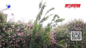 今起大風(fēng)降溫 揚沙浮塵相伴