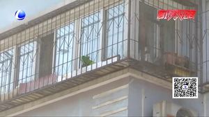 空中墜物業(yè)主車(chē)被砸 萬(wàn)元修理費(fèi)到底該誰(shuí)出