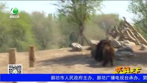 樂(lè)游天下 20170512