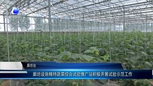 廊坊設(shè)施精特蔬菜綜合試驗(yàn)推廣站積極開展示范工作