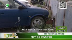 僵尸車涌現 到底誰來管理