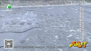 樂(lè)游天下 20170804