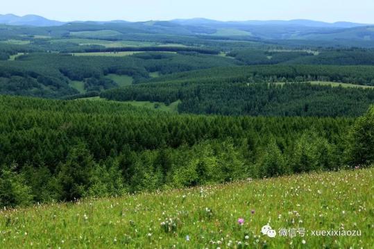習(xí)總牽掛的塞罕壩，你去過嗎？小組剛?cè)ミ^！