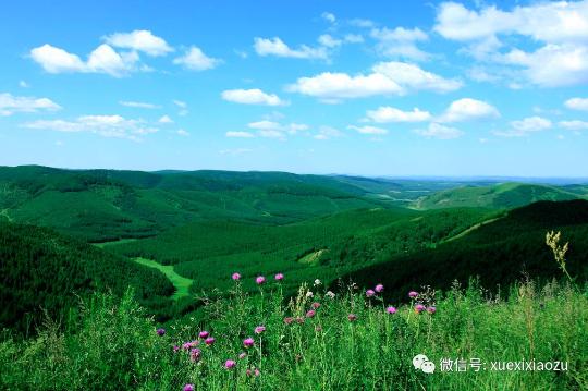 習(xí)總牽掛的塞罕壩，你去過嗎？小組剛?cè)ミ^！