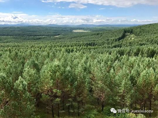 習(xí)總牽掛的塞罕壩，你去過嗎？小組剛?cè)ミ^！