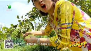 樂(lè)游天下 20170901