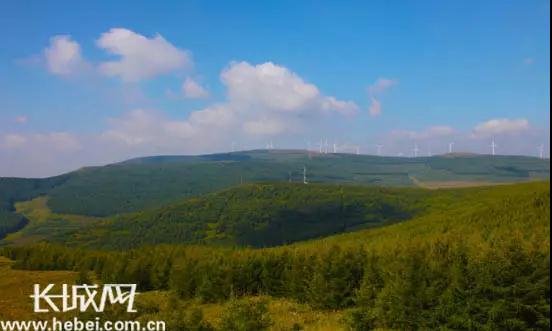 風(fēng)、沙、冷、山……塞北林場(chǎng)艱苦創(chuàng)業(yè)不簡(jiǎn)單！