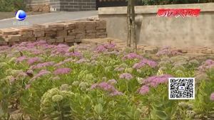 行進中的五年：大棚賺了錢 村子變了樣