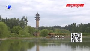 行進中的五年：城市在發(fā)展 綠色在延伸