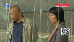 持續(xù)陰雨降溫天氣 亟待加強農(nóng)業(yè)管理防范損失