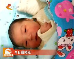 今日最網(wǎng)紅——“小十九”的2050夢(mèng)