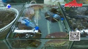 冬季螃蟹依舊美味 價格親民銷量上升