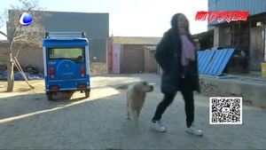 新申請壁掛爐未安裝急壞村民 相關部門正在全力協(xié)調(diào)解決