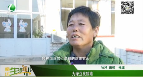 為綠豆找銷(xiāo)路