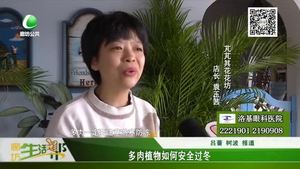 多肉植物如何安全過冬