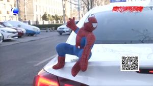 車頂貼掛玩偶“很拉風(fēng)”？交警提示：有安全隱患