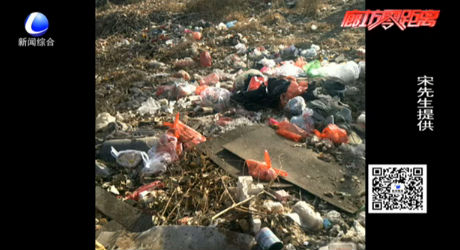 這兒的坑里堆垃圾 無人清理存隱患