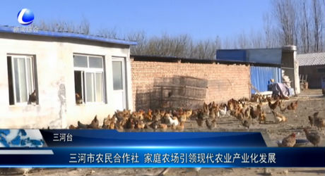 三河市農(nóng)民合作社 家庭農(nóng)場引領(lǐng)現(xiàn)代農(nóng)業(yè)產(chǎn)業(yè)化發(fā)展