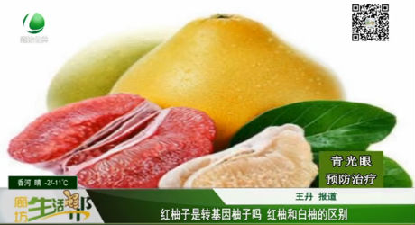 紅柚子是轉基因柚子嗎 紅柚和白柚的區(qū)別