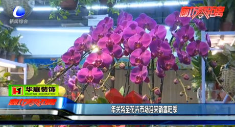 年關(guān)將至花卉市場(chǎng)迎來(lái)銷(xiāo)售旺季