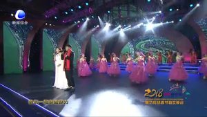 廊坊網(wǎng)絡(luò)春節(jié)聯(lián)歡晚會——新的天地