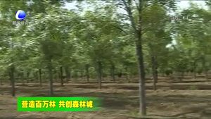 大廠縣掀起春季造林綠化熱潮