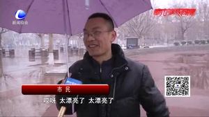 春雪落廊坊 雪景美如畫