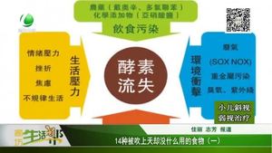 14種被吹上天卻沒什么用的食物（一）