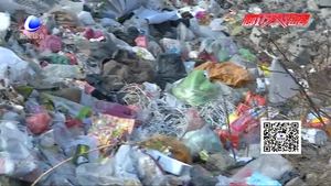 大馬房村黨支部書記就垃圾成堆 農(nóng)民種地難作出回應