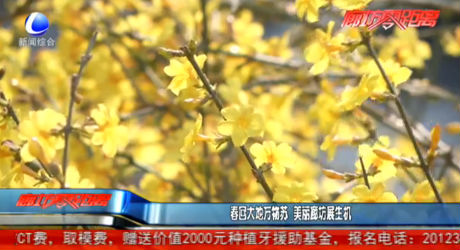 春回大地萬物蘇 美麗廊坊展生機