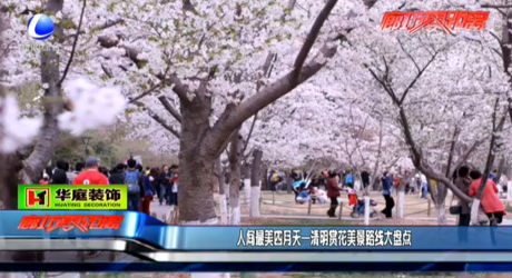 人間最美四月天——清明賞花美景路線