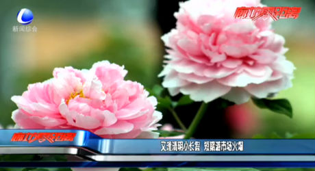 又逢清明小長(zhǎng)假 假期游市場(chǎng)火爆