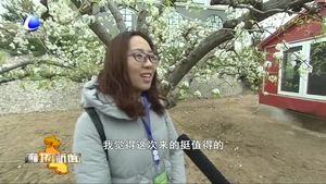 清明近郊出游成風(fēng)尚 市民暢享廊坊好生態(tài)