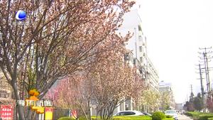 本周我市以晴到多云天氣為主 氣溫波動較大