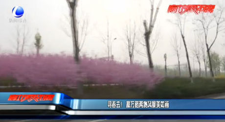尋春去！廊萬路兩側(cè)風(fēng)景美如畫