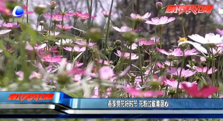 春季賞花好時節(jié) 花粉過敏需留心