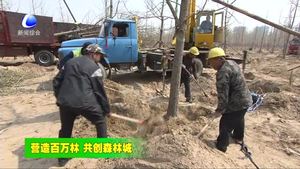 永清縣著力打造萬畝銀杏生態(tài)景觀林帶