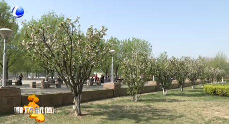 本周前期好春光 谷雨節(jié)氣迎降水