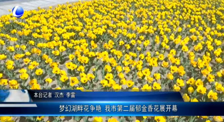 夢(mèng)幻湖畔花爭(zhēng)艷 我市第二屆郁金香花展開幕