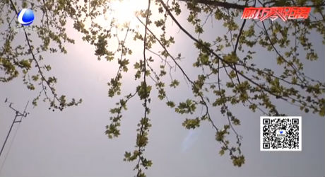 本周前期好春光 谷雨節(jié)氣迎降水