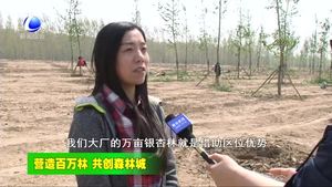 大廠縣強(qiáng)力打造環(huán)北京周邊萬(wàn)畝銀杏林