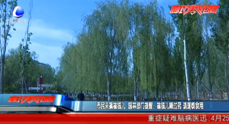 市民采摘榆錢兒 提醒：噴過藥 請(qǐng)謹(jǐn)慎食用