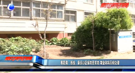 新民小區(qū)綠地變菜地 物業(yè)稱將盡快處理