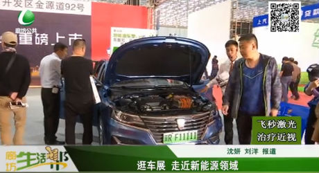 逛車展 走近新能源領(lǐng)域