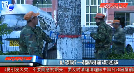 市園林局治理?xiàng)盍w絮污染見成效