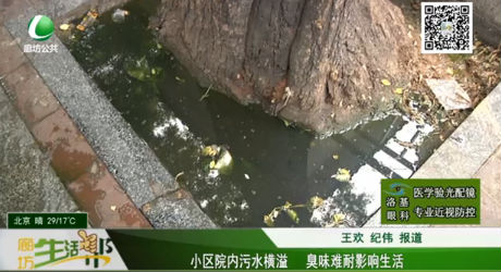 小區(qū)院內(nèi)污水橫溢 臭味難耐影響生活