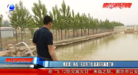 零距離熱線：無(wú)故停了電 魚(yú)塘和花圃遭了秧